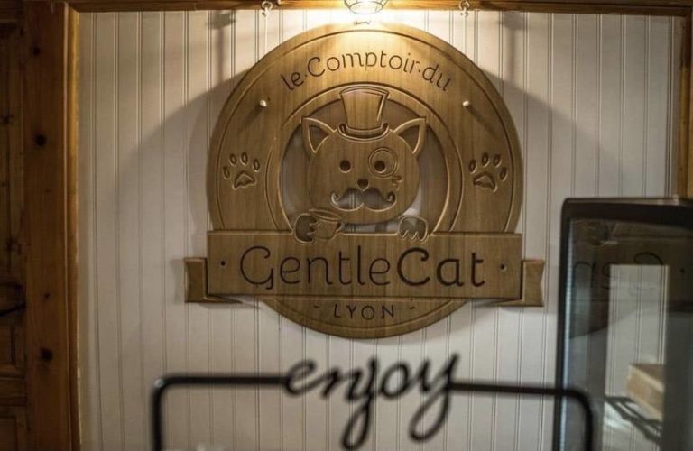 logo GentleCat