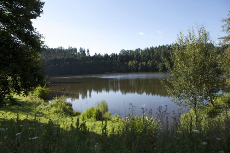 Baignade écologique lac des sapins ©destination-beaujolais.com où se baigner