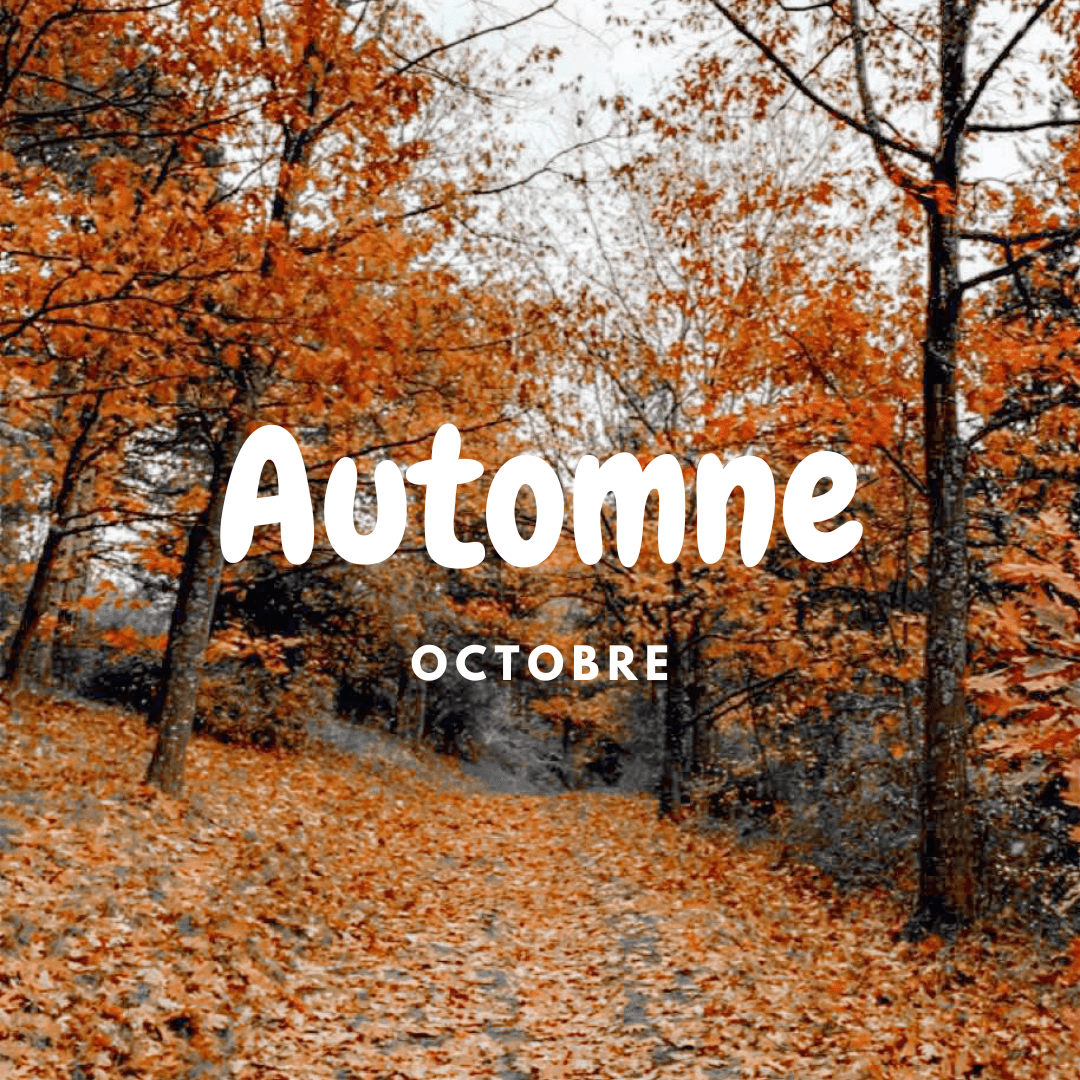 Automne! welcome octobre et ses événements